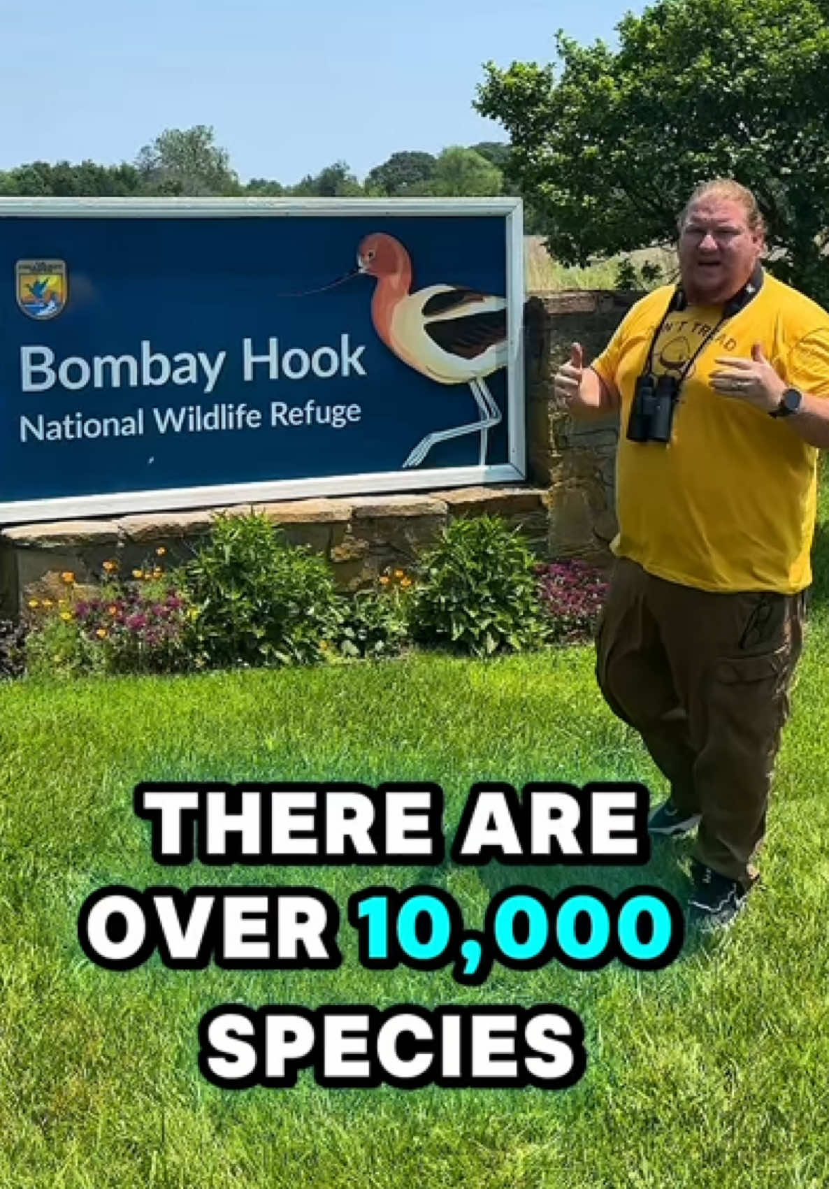 Bombay Hook National Wildlife Refuge