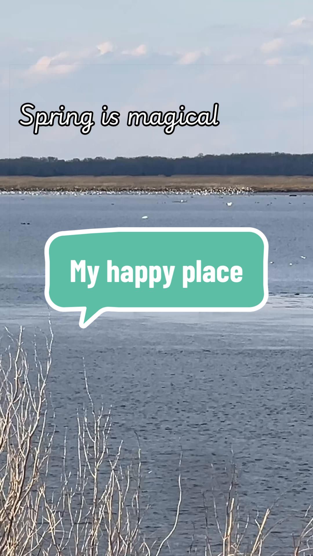 Bombay Hook National Wildlife Refuge