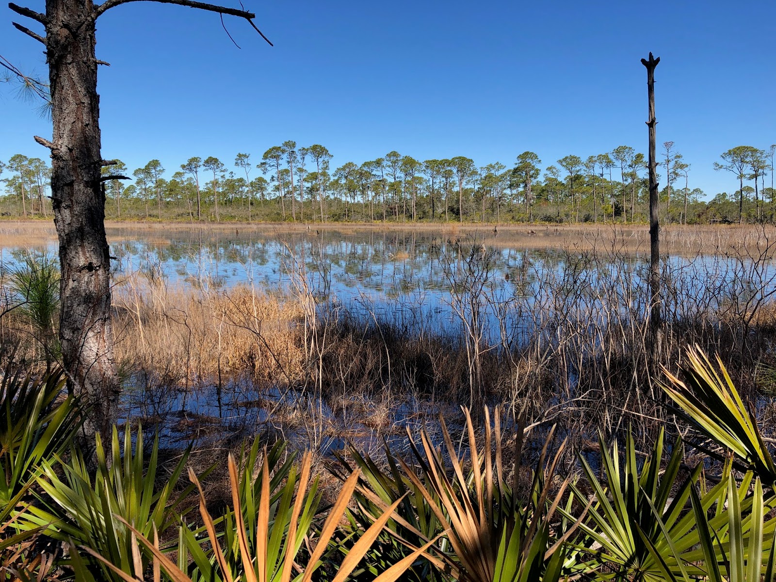 Bon Secour National Wildlife Refuge