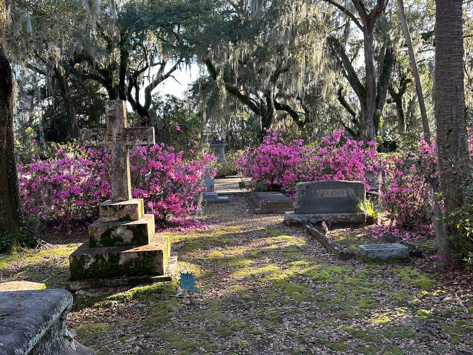 Bonaventure Cemetery