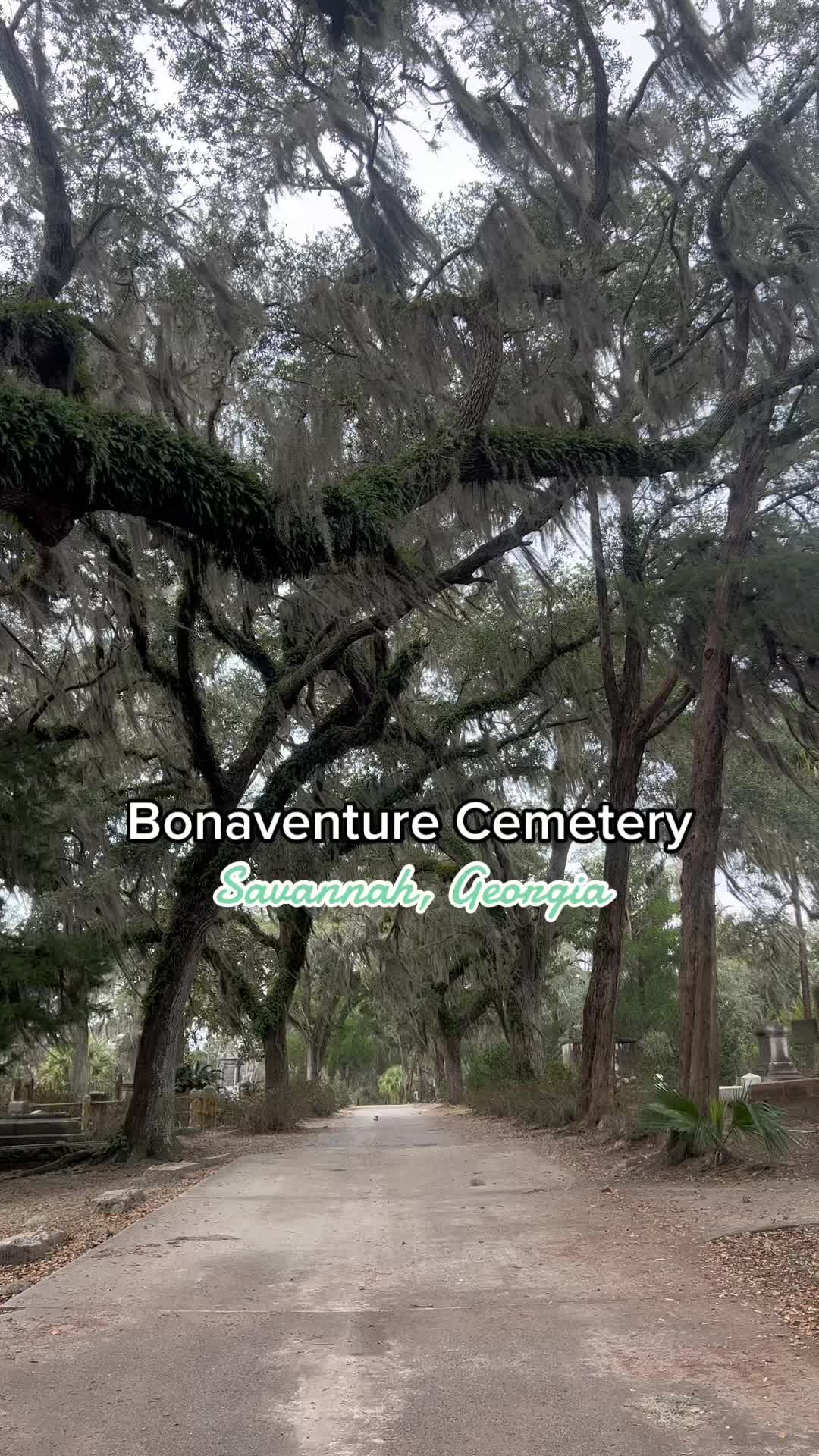 Bonaventure Cemetery