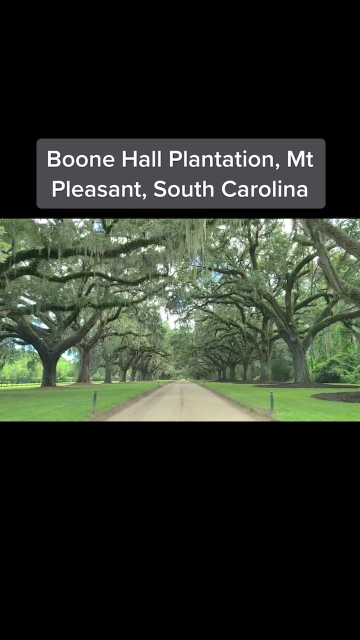 Boone Hall Plantation