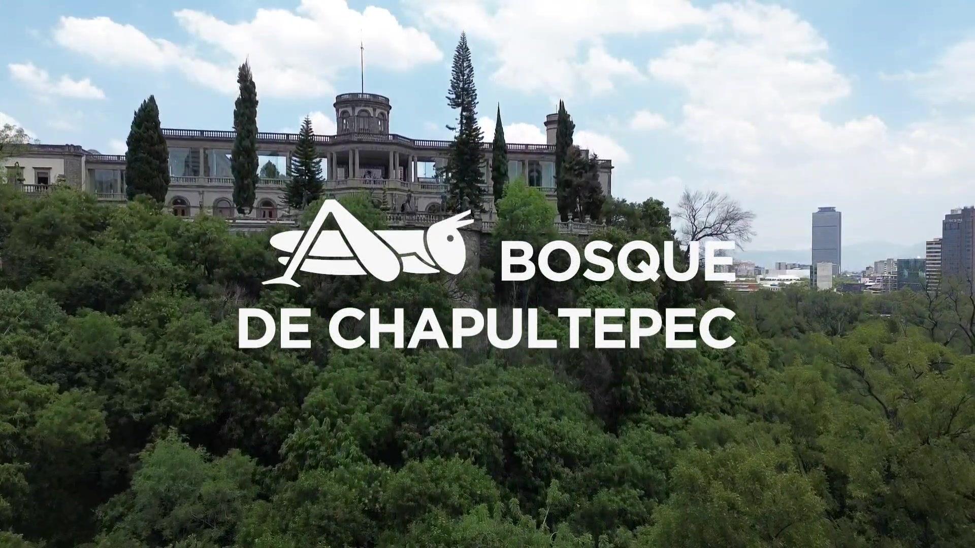 Bosque de Chapultepec