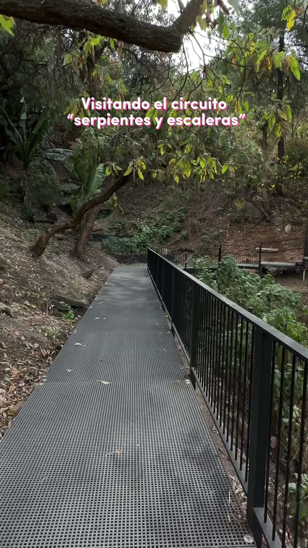 Bosque de Chapultepec