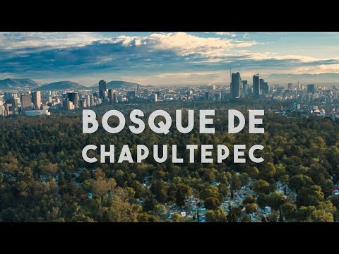 Bosque de Chapultepec