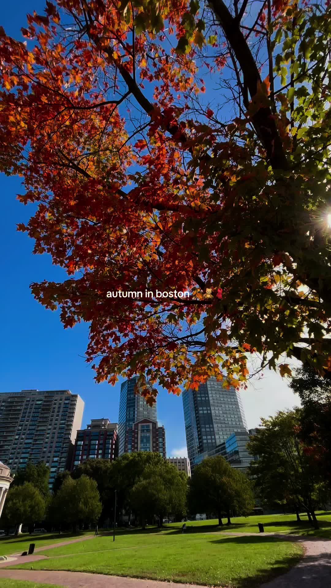 Boston Common