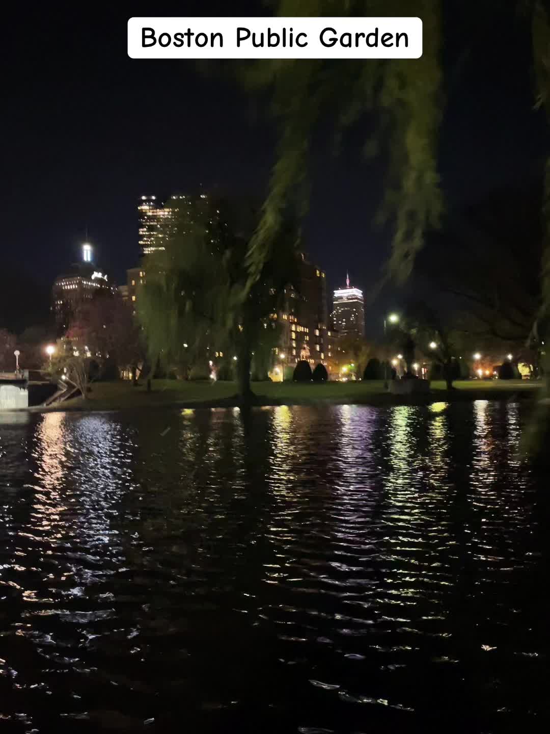 Boston Public Garden