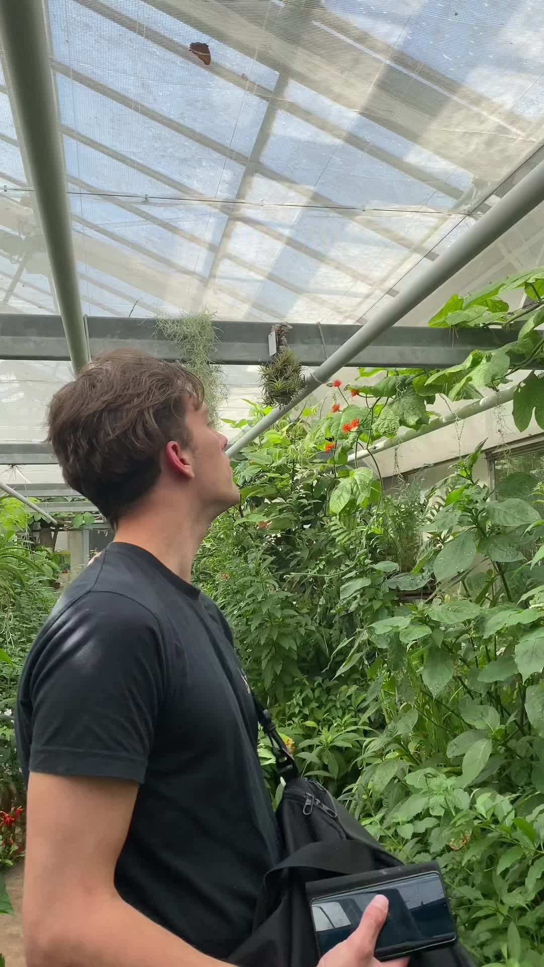 Botanic Gardens