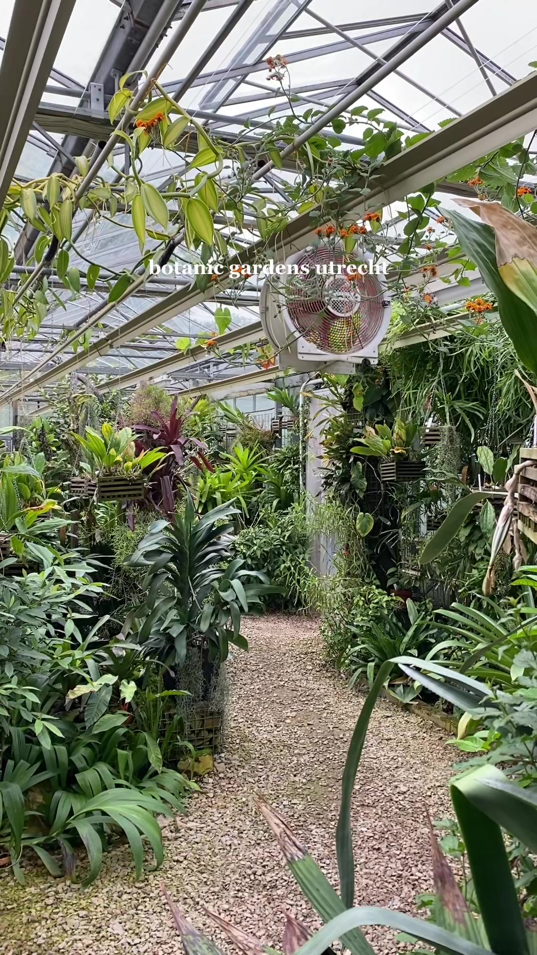 Botanic Gardens