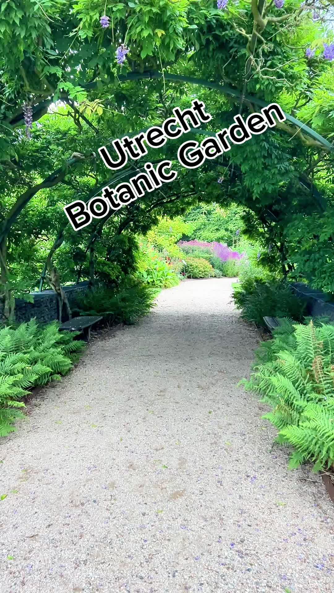 Botanic Gardens