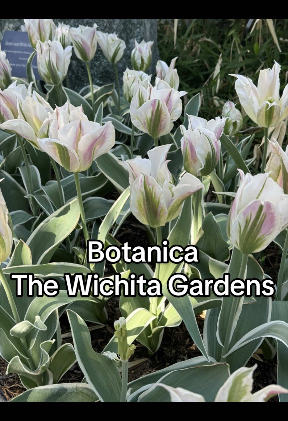 Botanica, The Wichita Gardens