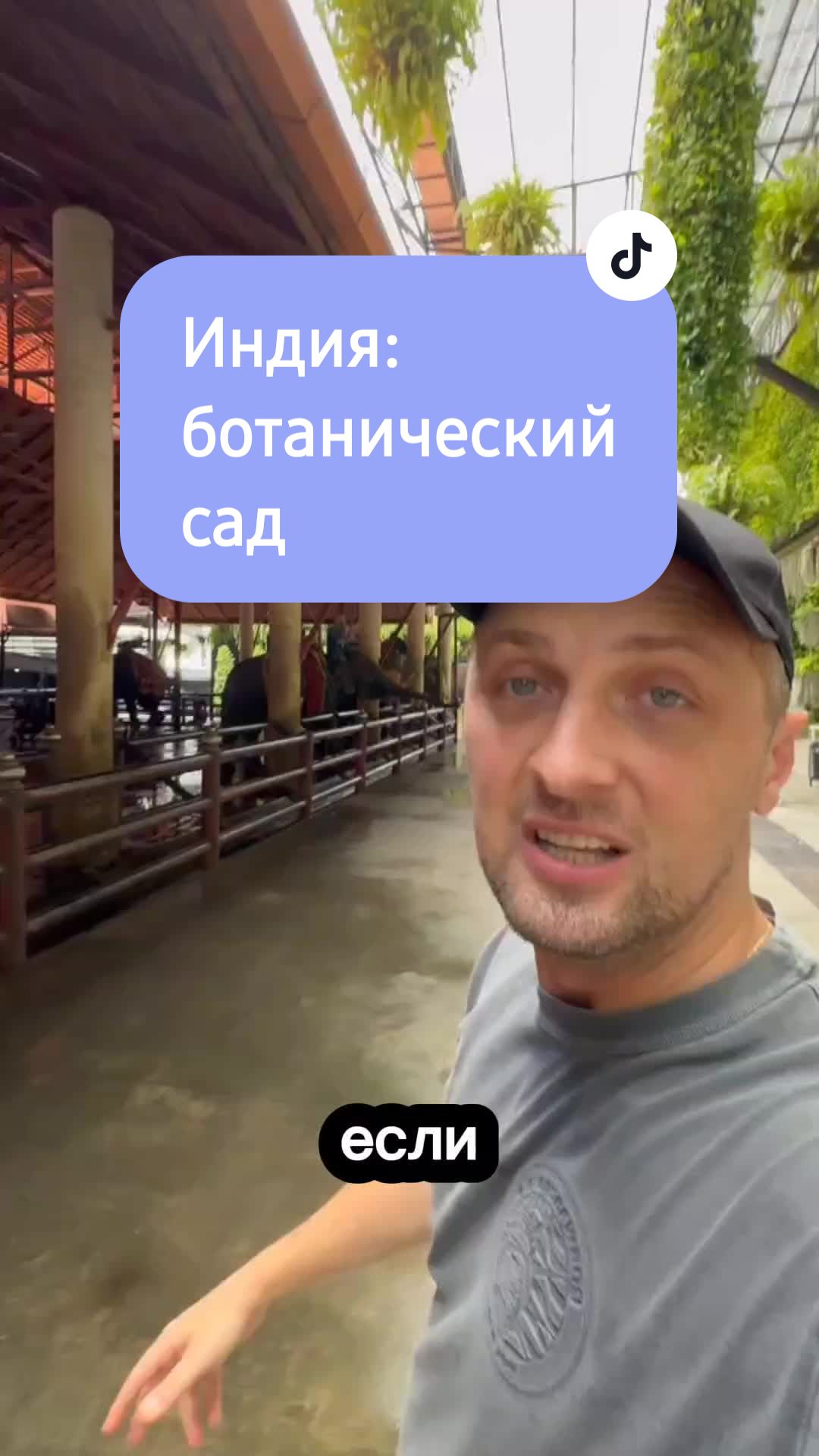 Ботанический сад Дебрецена
