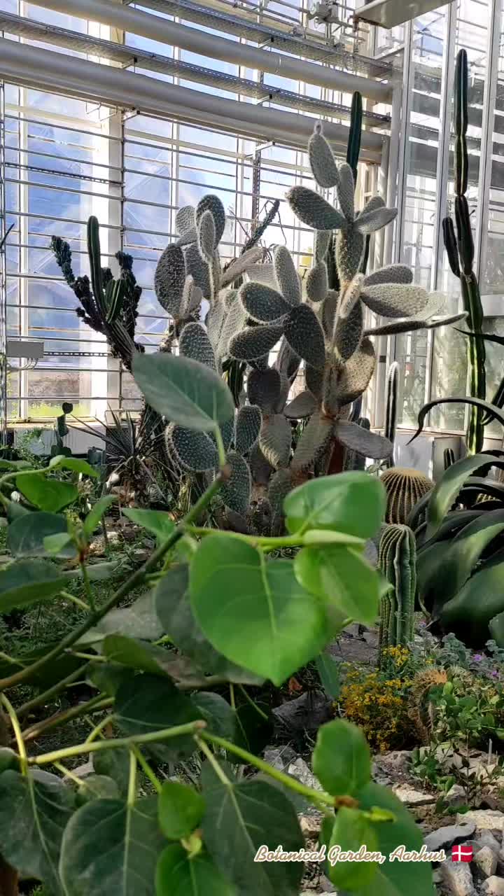 Botanisk Have (Ботанический сад)