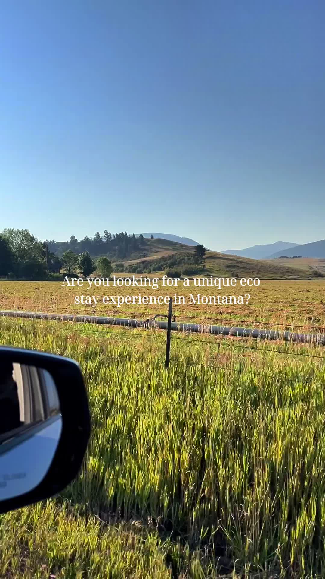 Bozeman