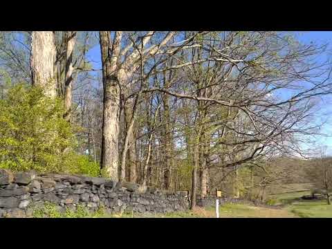 Brandywine Creek State Park