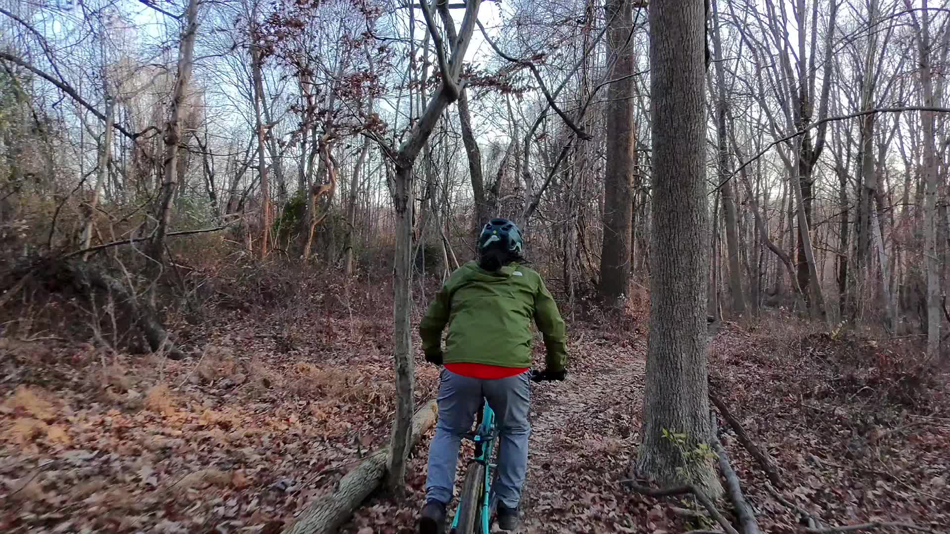 Brandywine Creek State Park