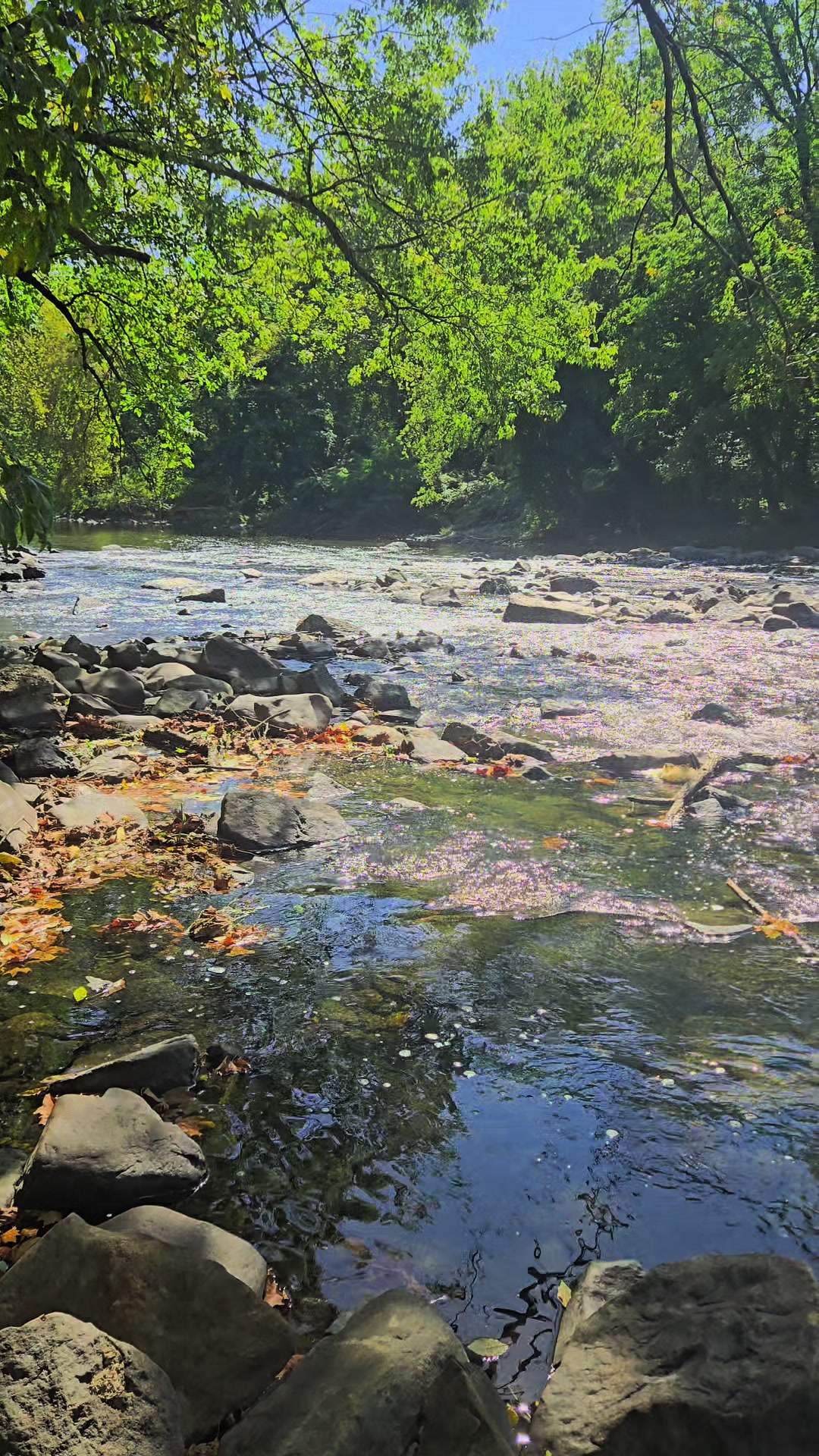 Brandywine Creek State Park