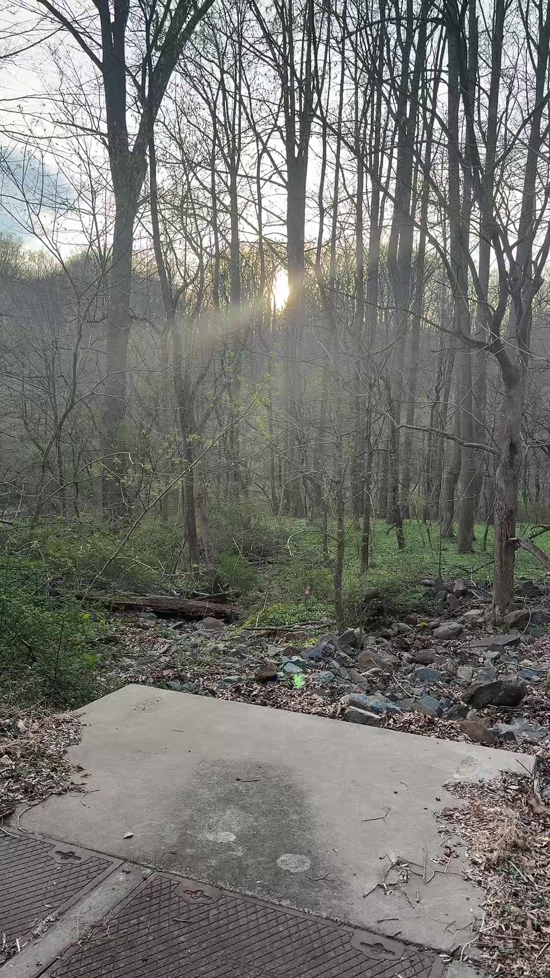 Brandywine Creek State Park
