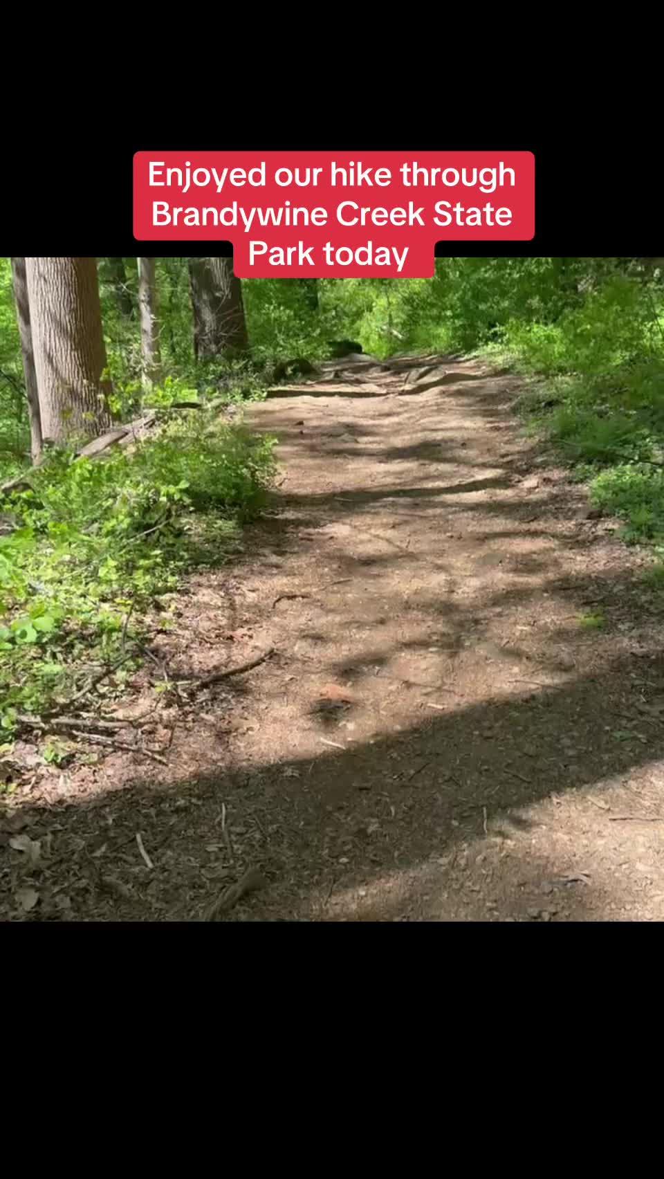 Brandywine Creek State Park