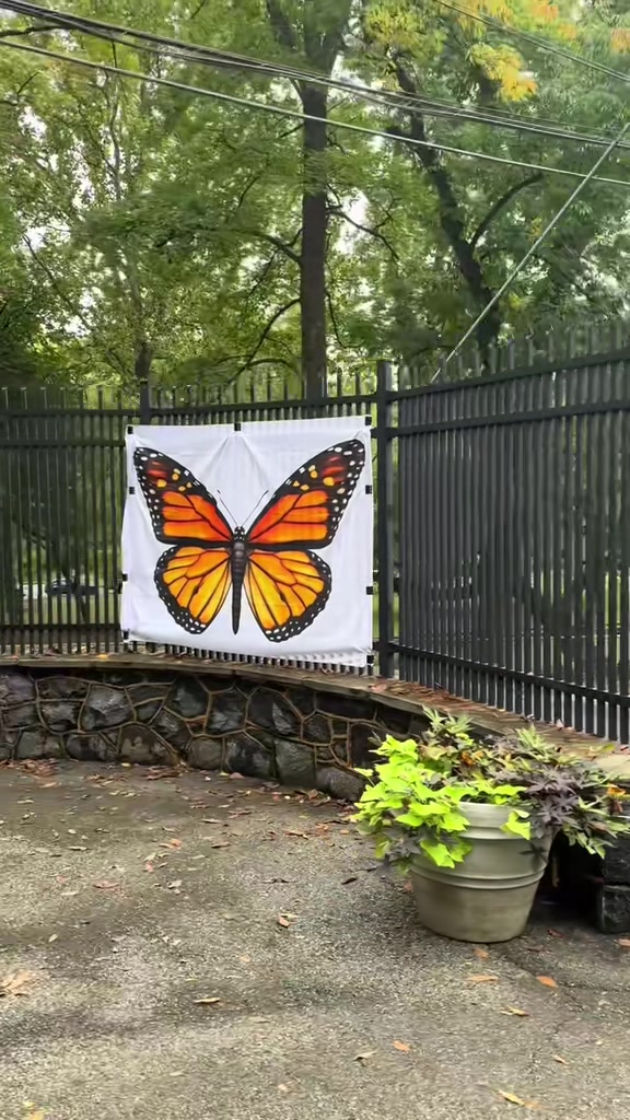 Brandywine Zoo