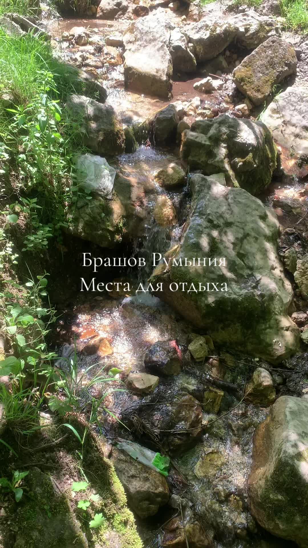 Брашовский зоопарк