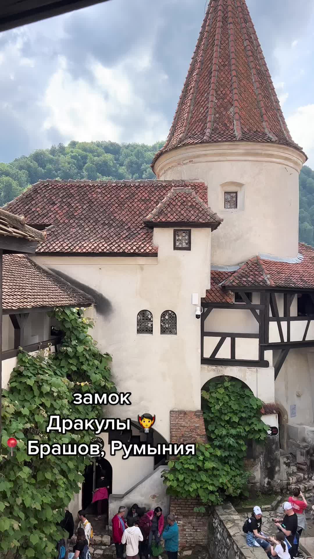Брашовский зоопарк