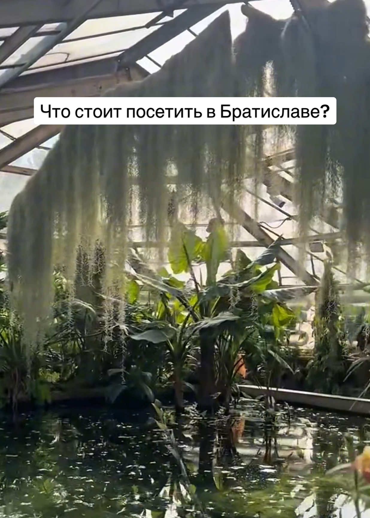 Братислава, Словакия