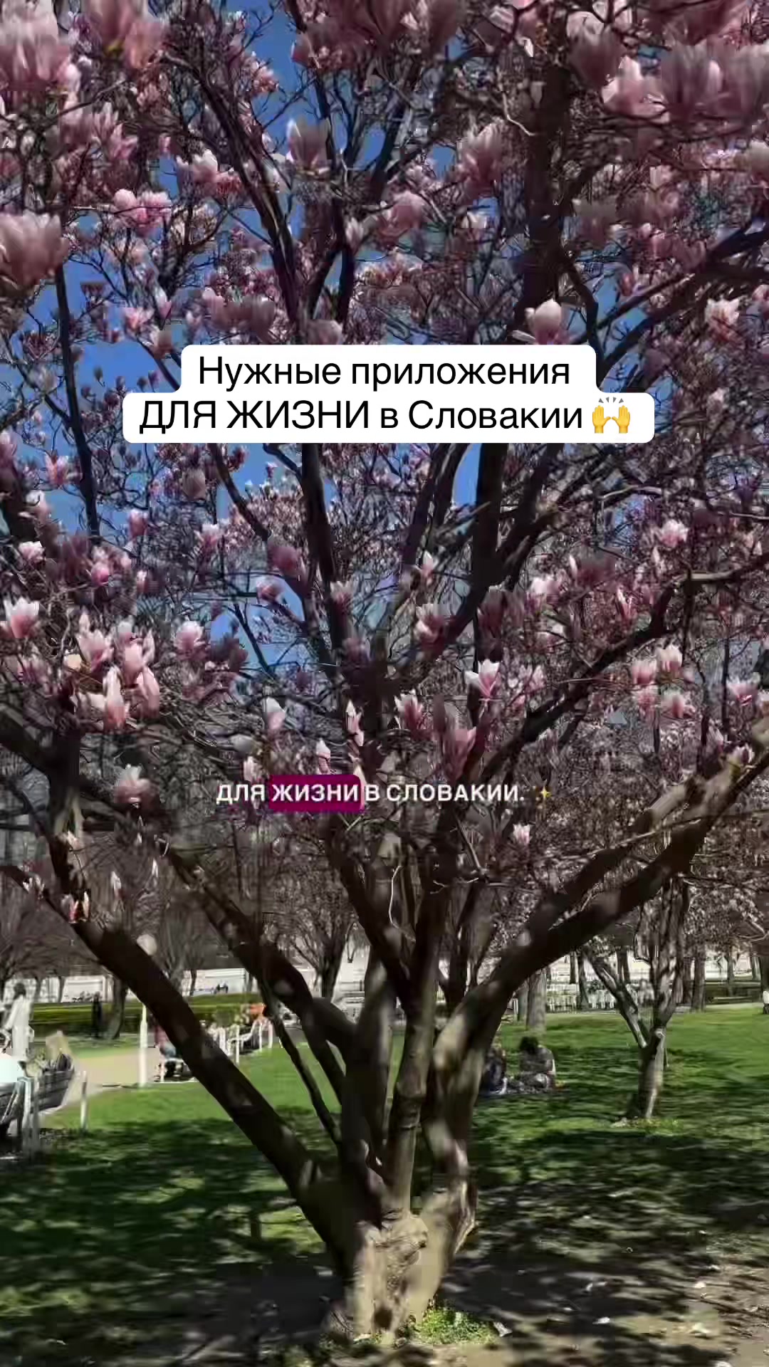 Братислава