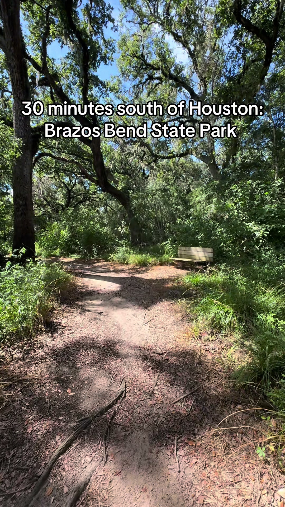 Brazos Bend State Park