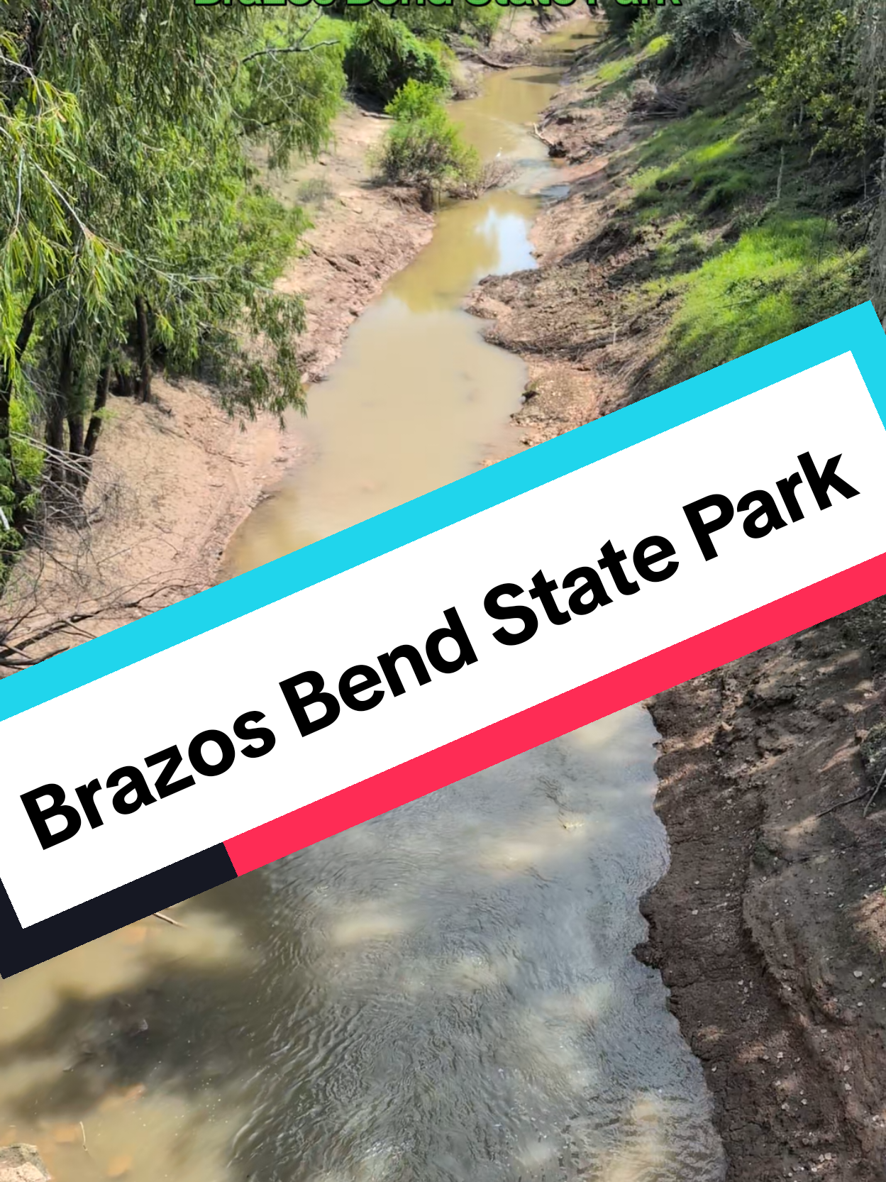 Brazos Bend State Park