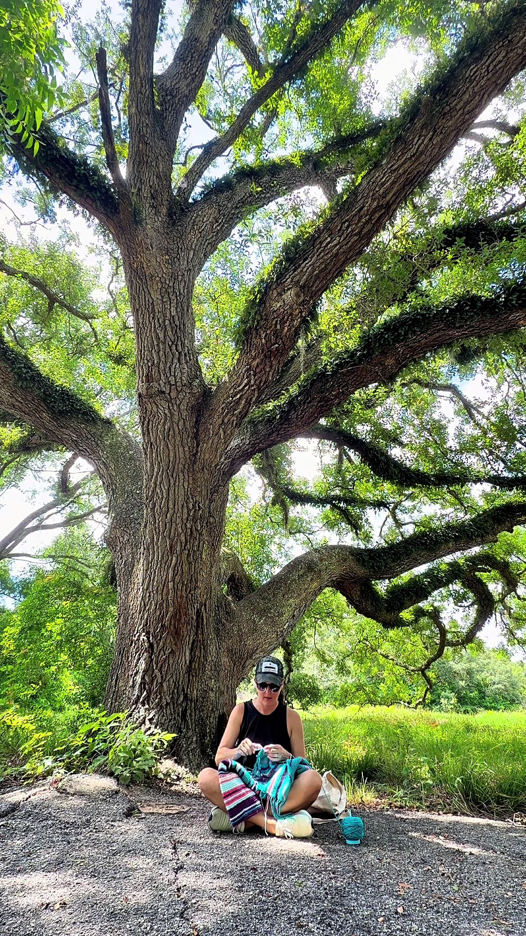 Brazos Bend State Park