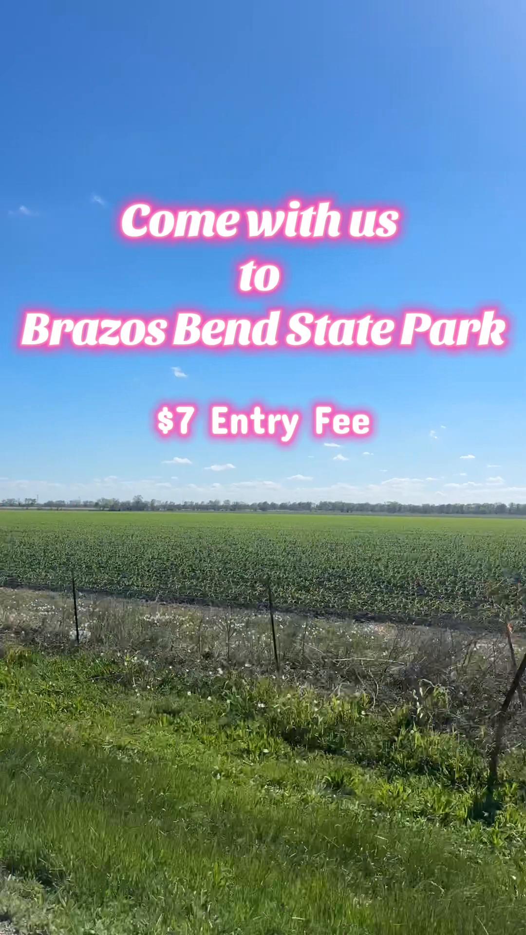 Brazos Bend State Park