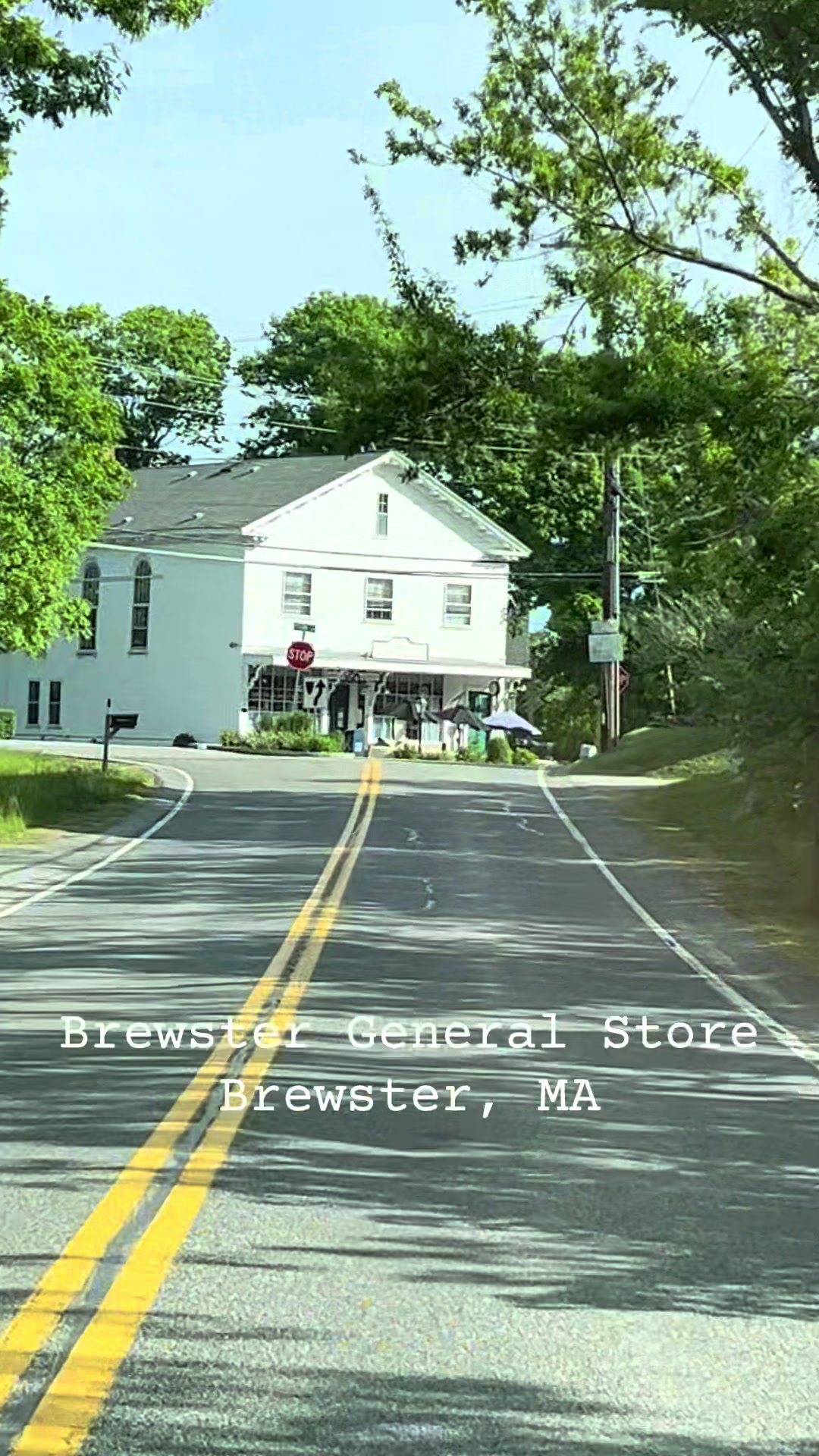 Brewster