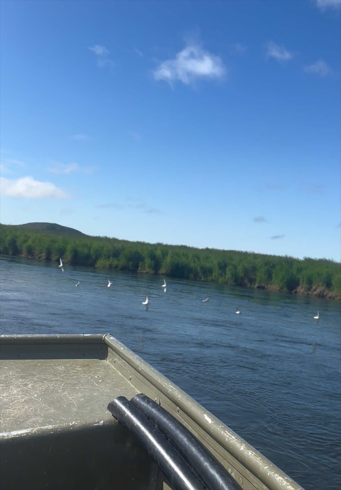 Bristol Bay