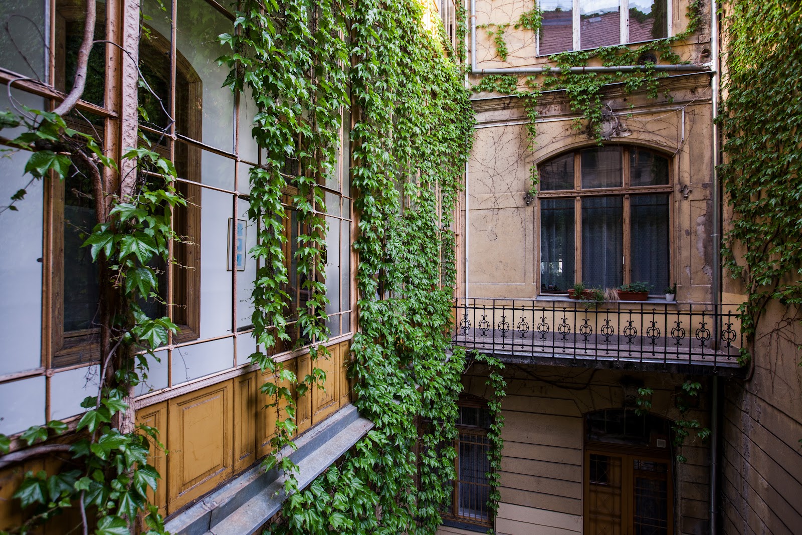 Изображение для Brody House