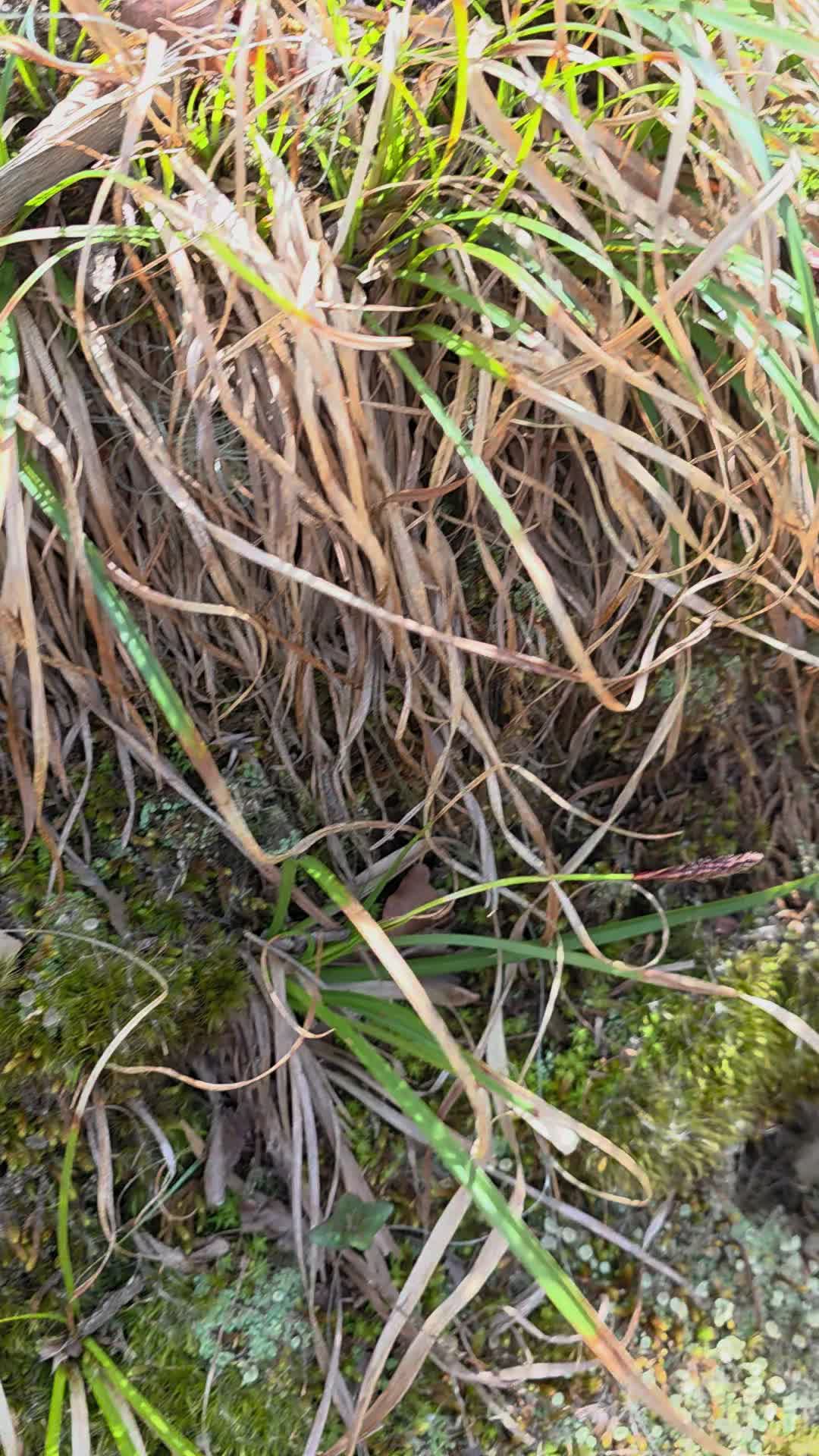 Brown County State Park