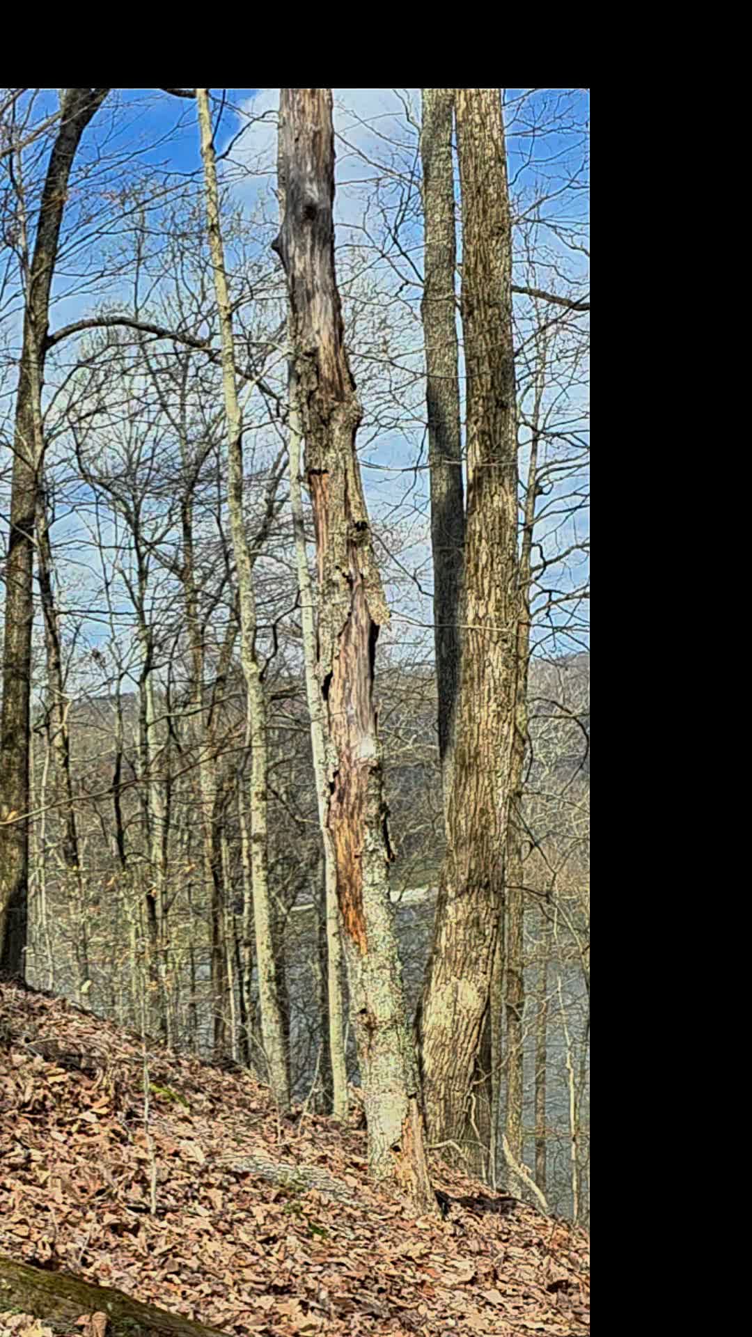 Brown County State Park