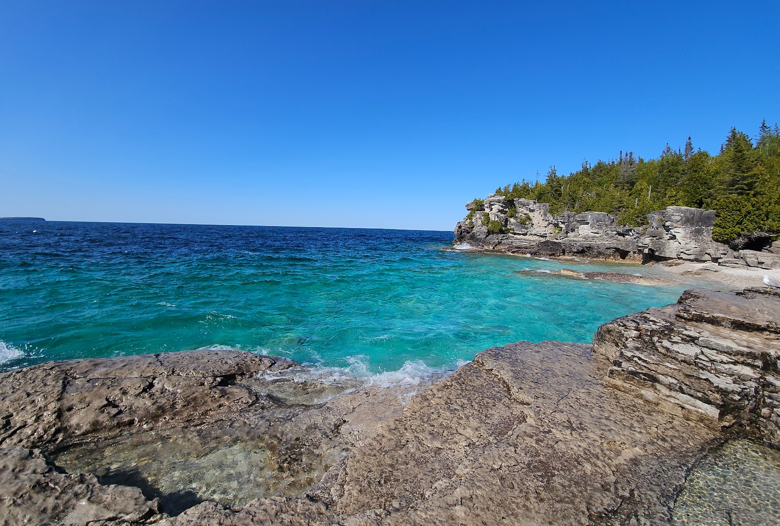 בורסהד (Bruce Peninsula National Park)