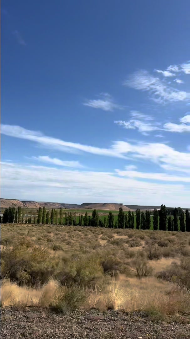 Bruneau Dunes State Park