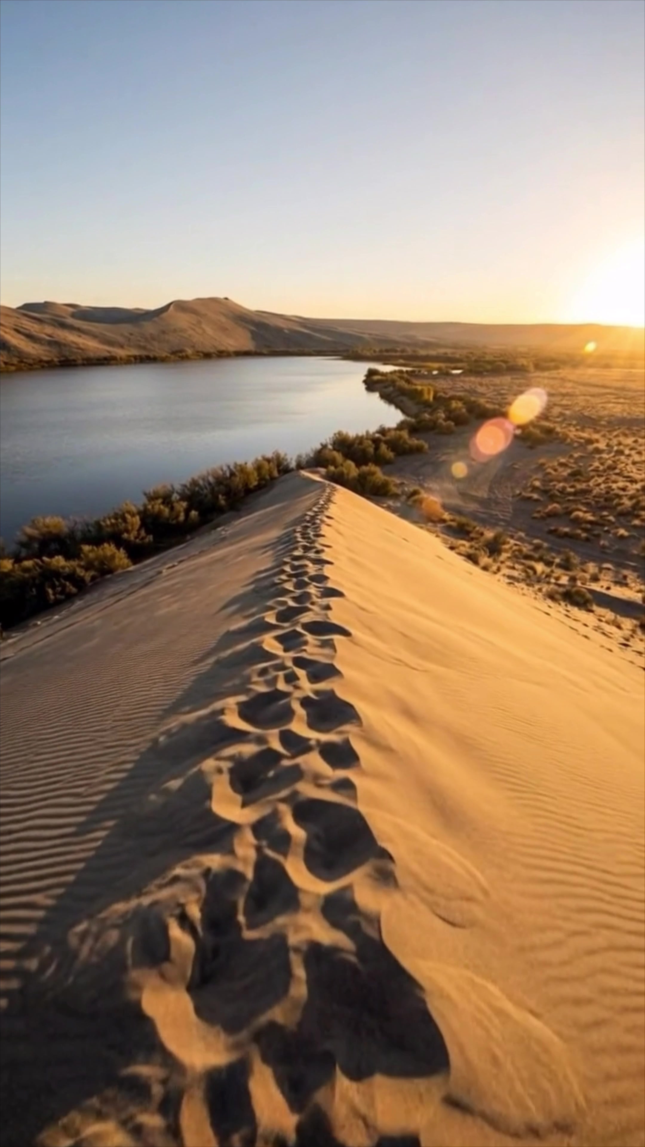 Bruneau Dunes State Park
