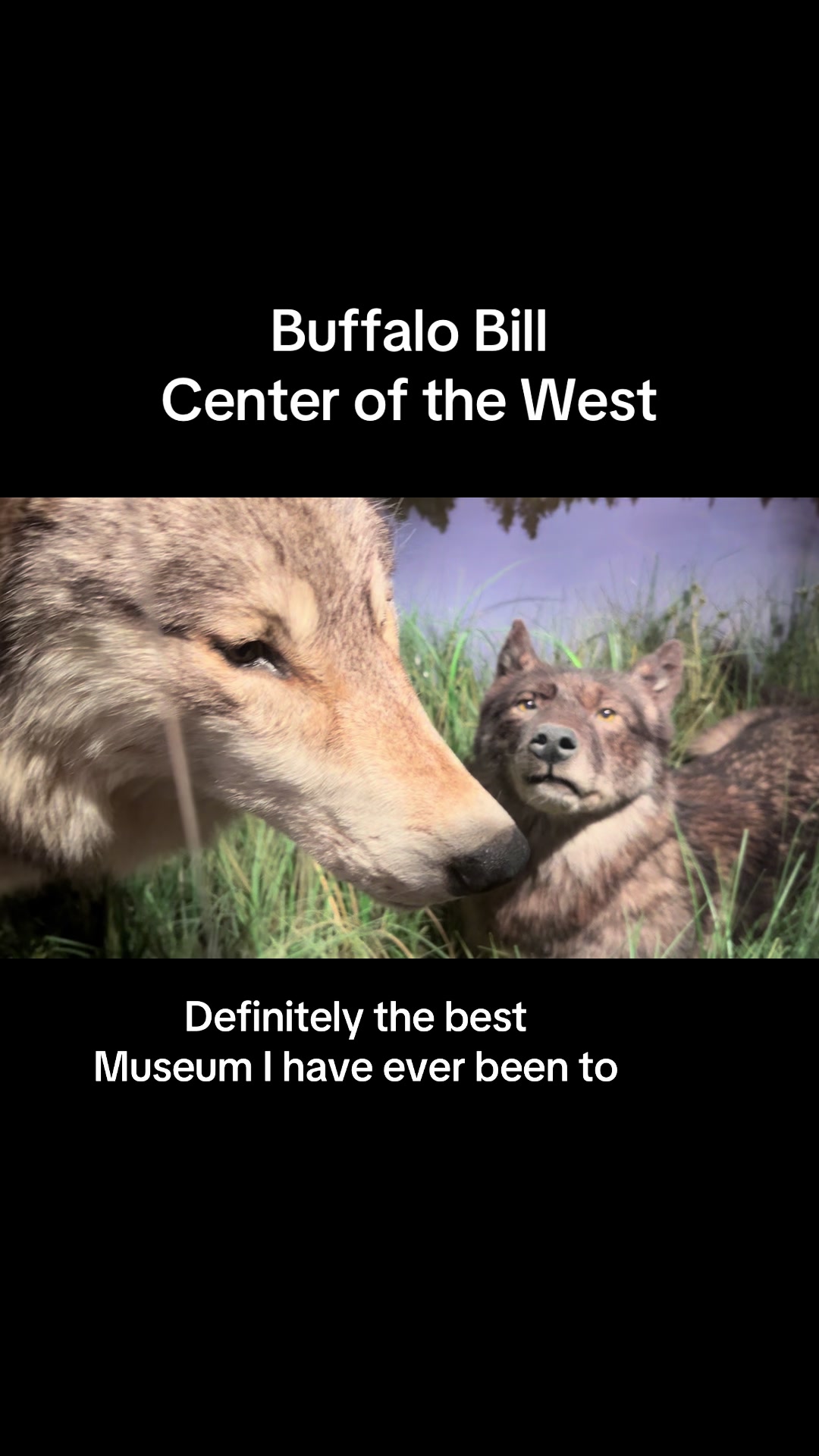 Buffalo Bill Center of the West