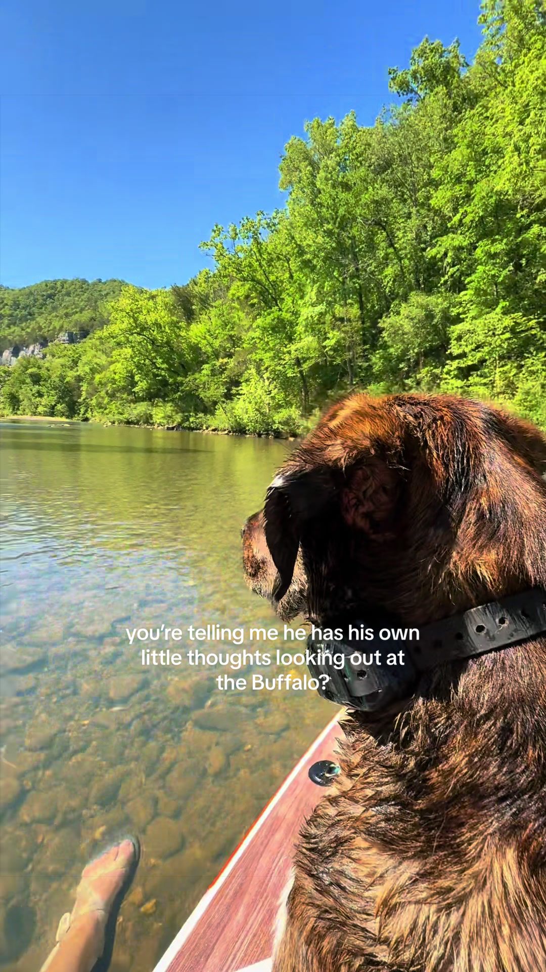 Buffalo National River