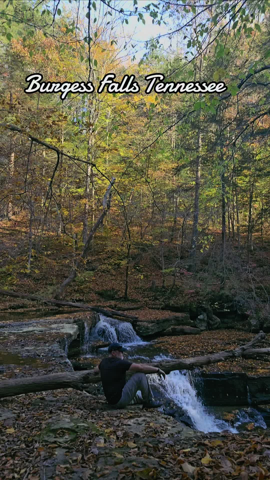 Burgess Falls