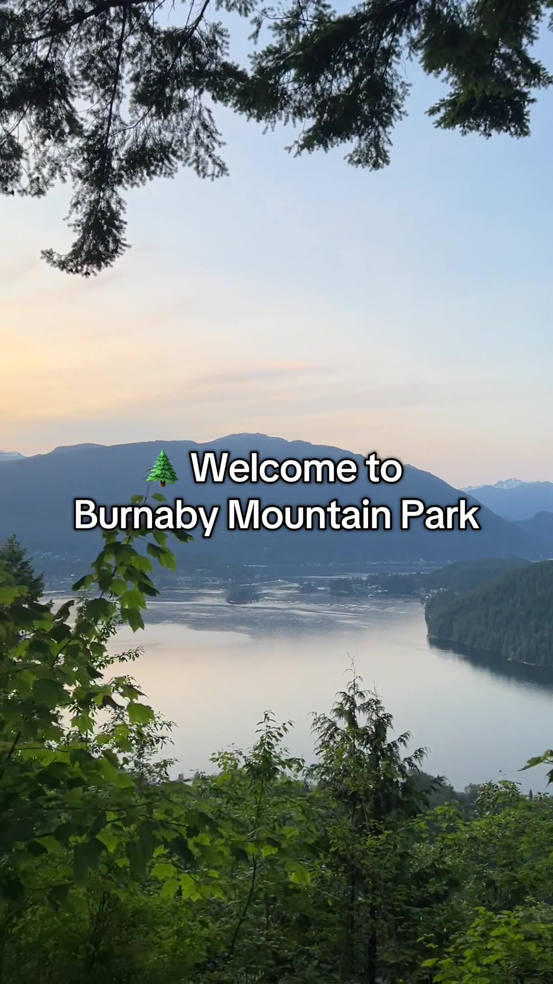 Burnaby Mountain Conservation Area