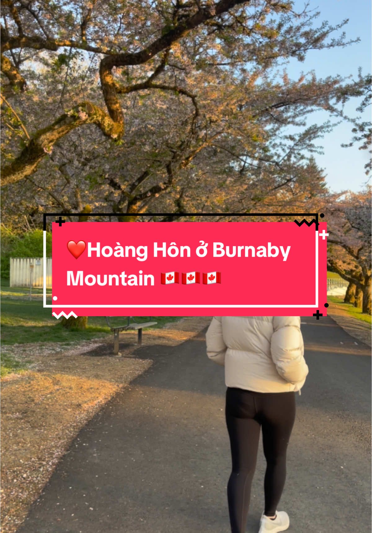 Burnaby Mountain Conservation Area