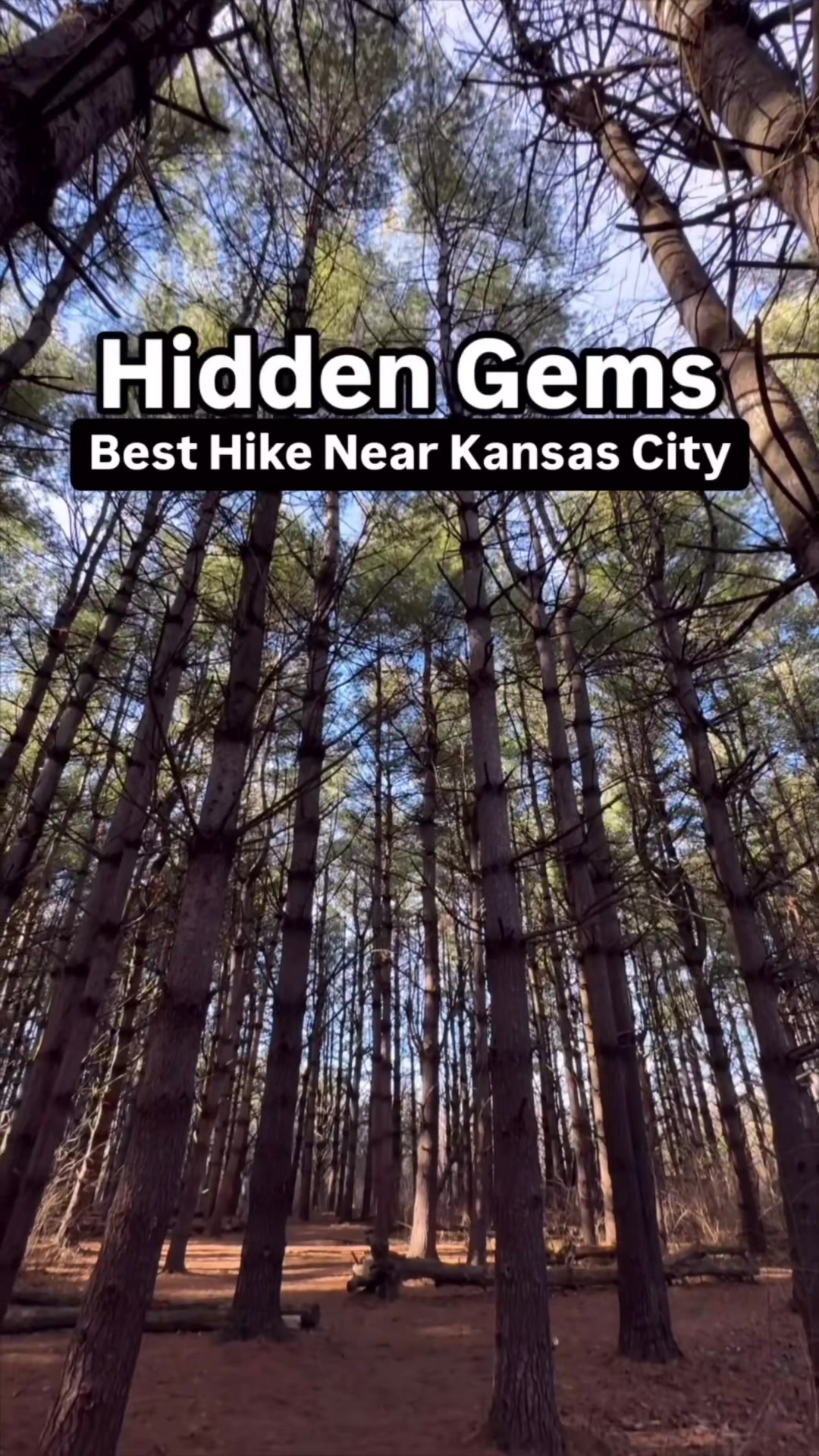 Burr Oak Woods Nature Center