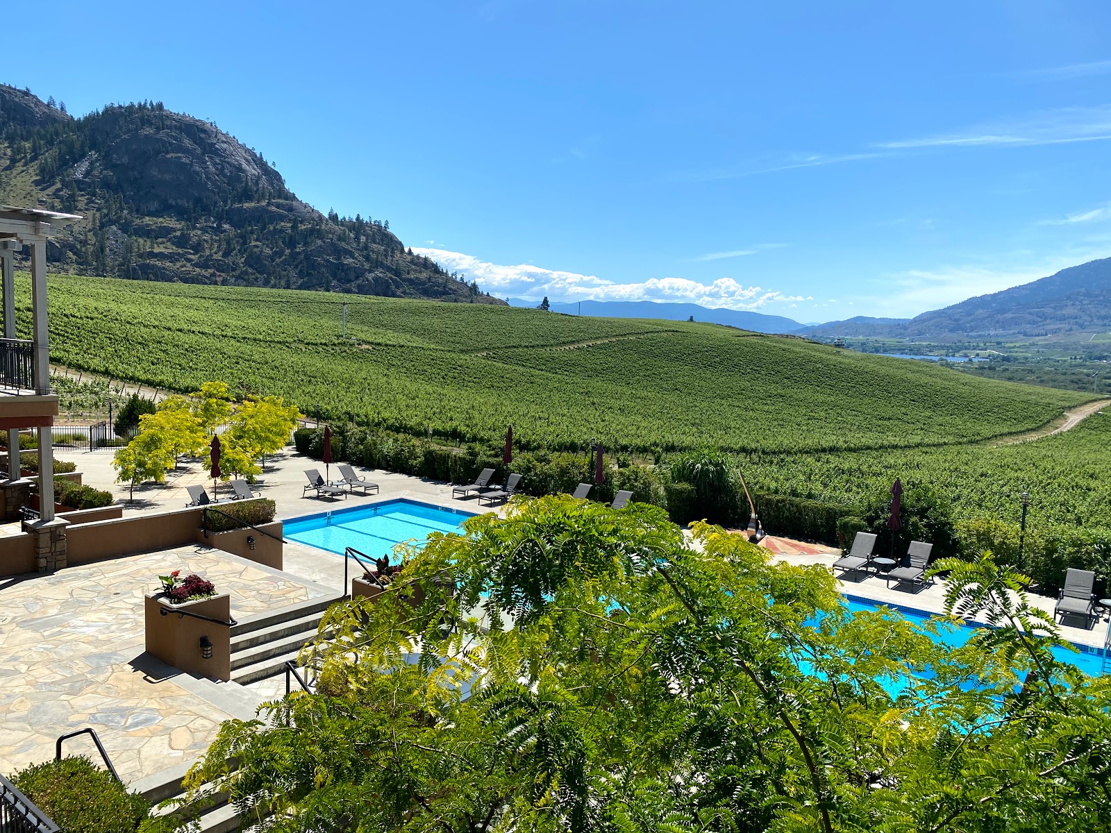 Picture for Burrowing Owl Estate Winery & Sonora Room Restaurant