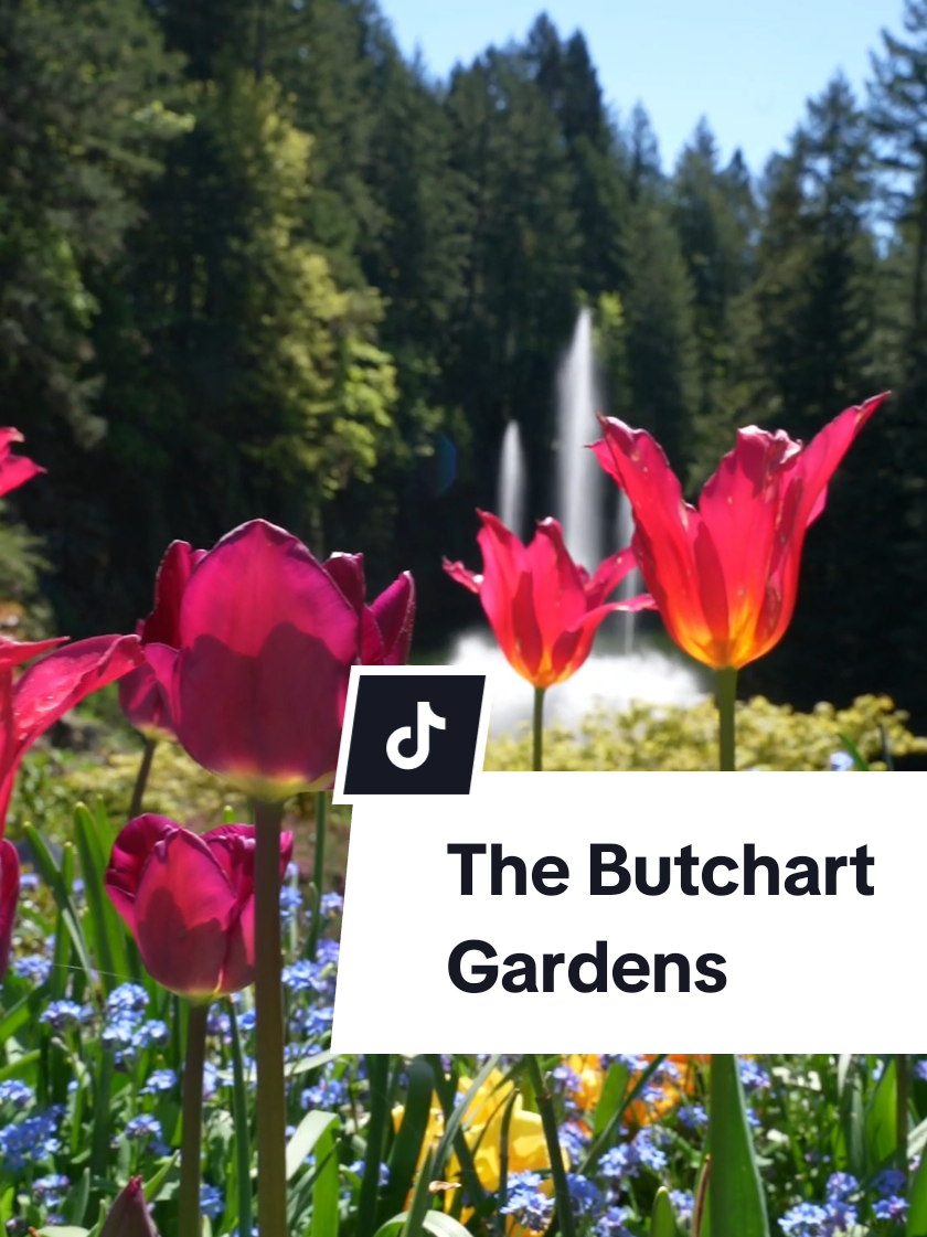 Butchart Gardens