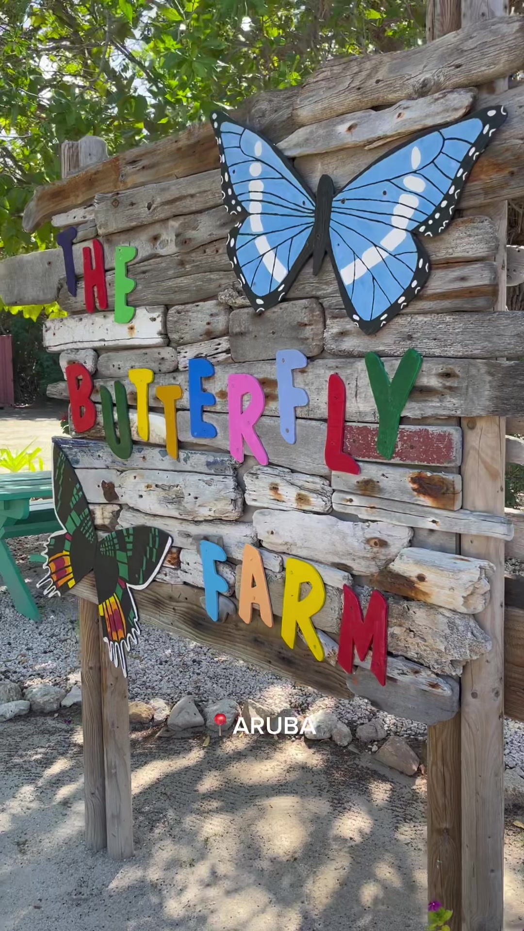 Butterfly Farm Aruba