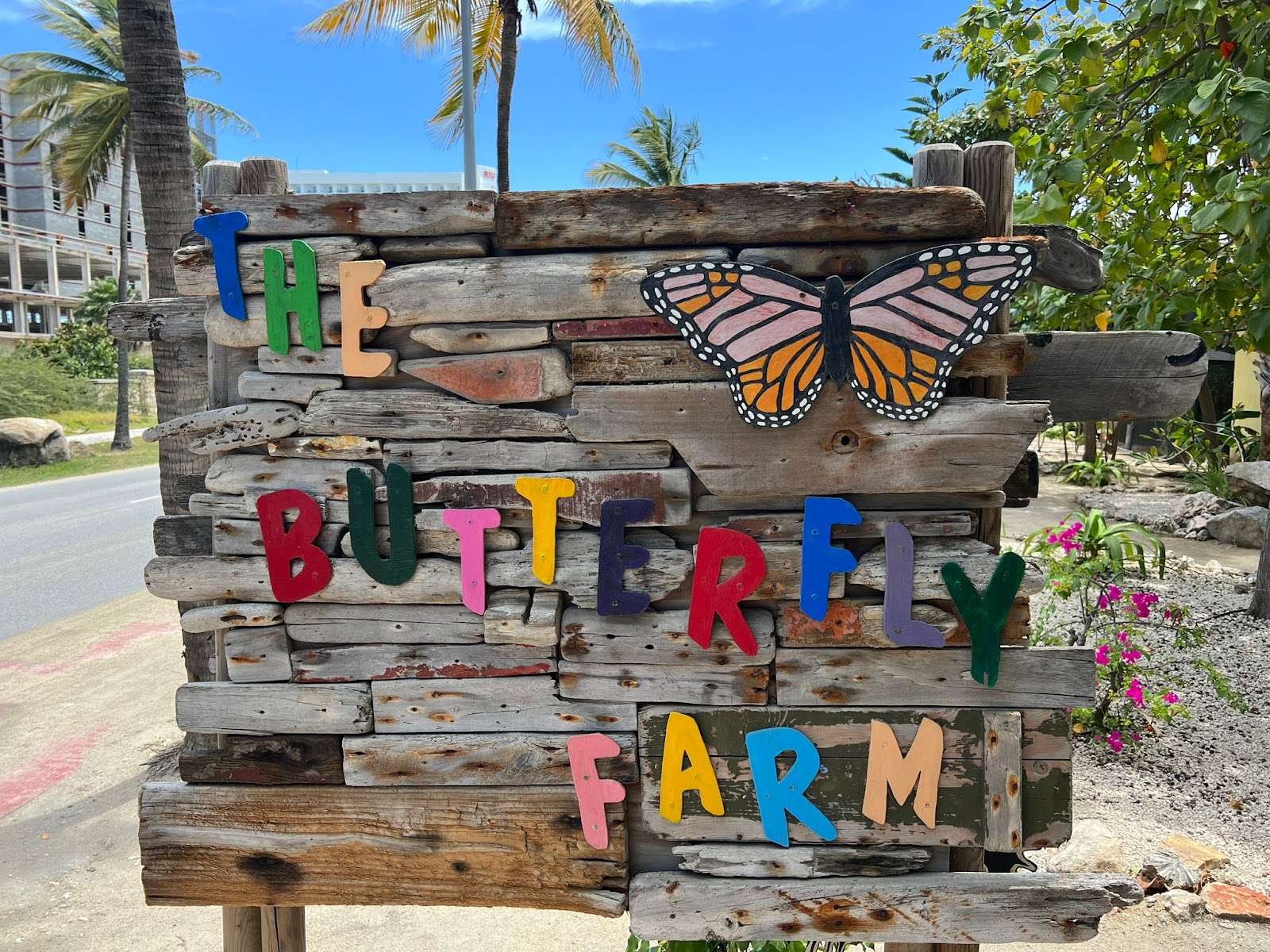 Best Family Activities in Aruba